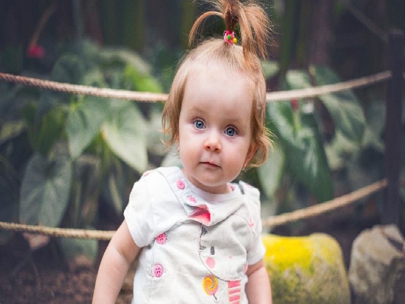 金边第一试管中心费用精诚国际试管公司介绍试管进社保吗